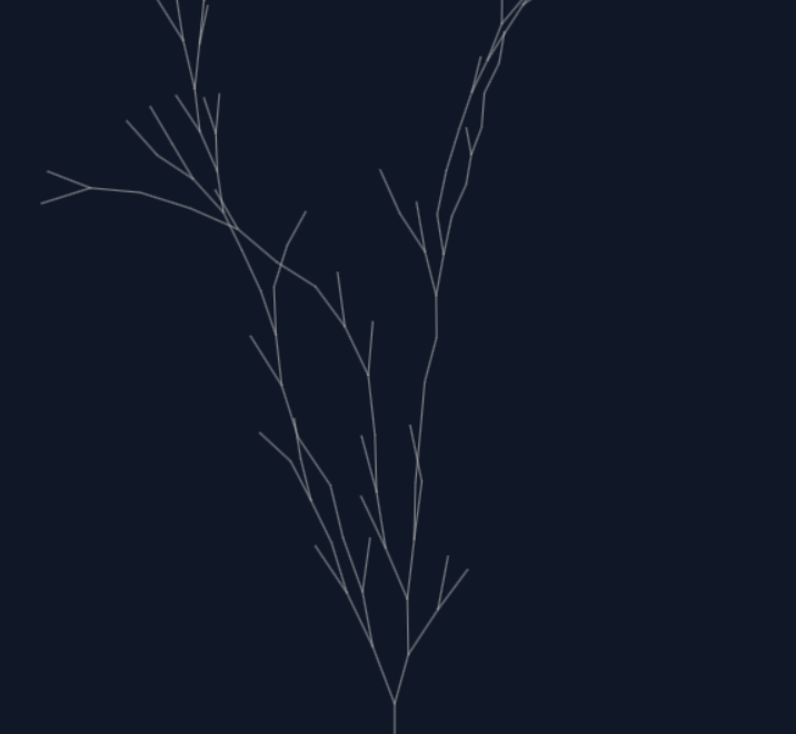 Plum Growth 梅花生长动画